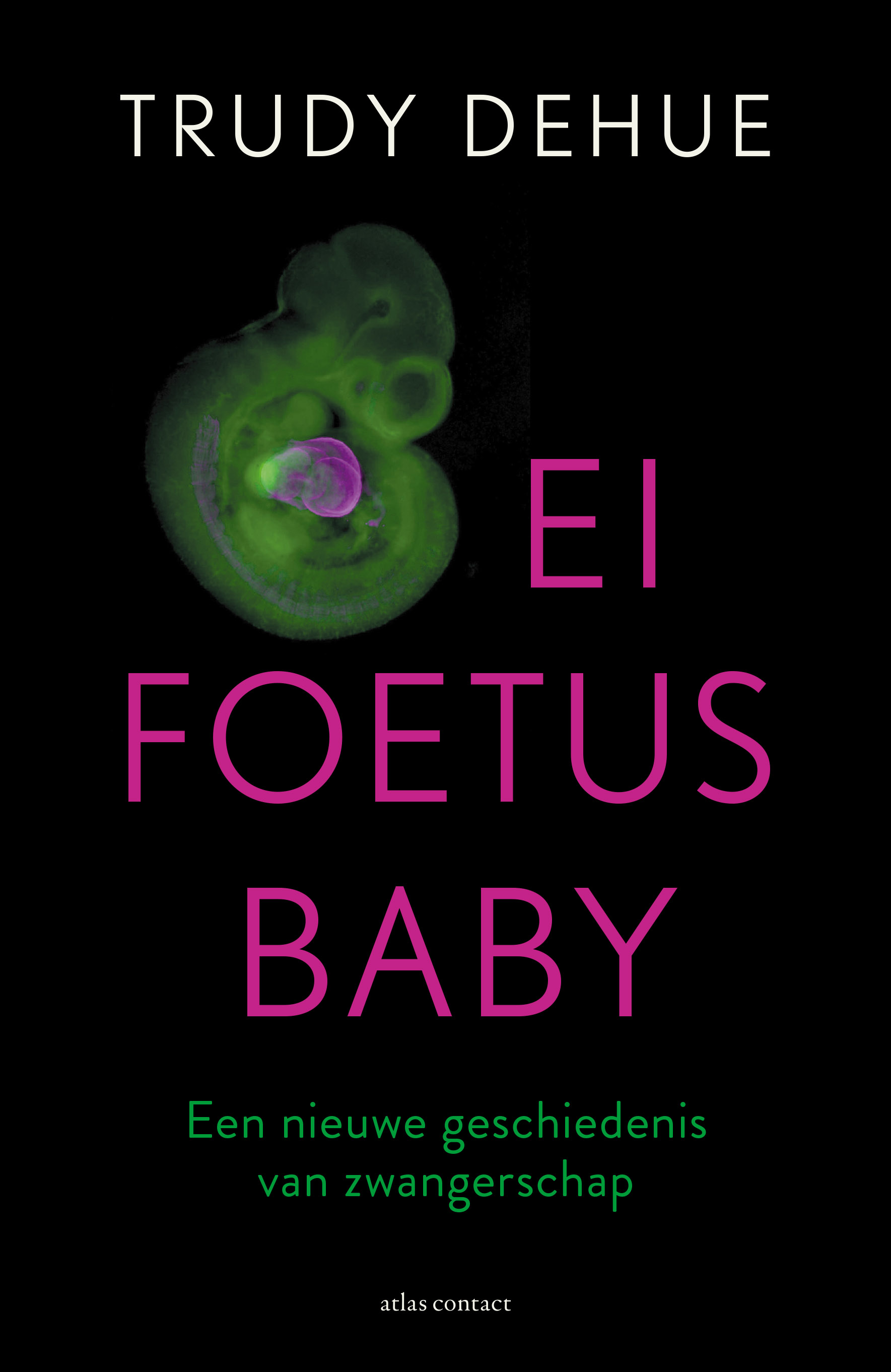 Egg Foetus Baby - A New History of Pregnancy