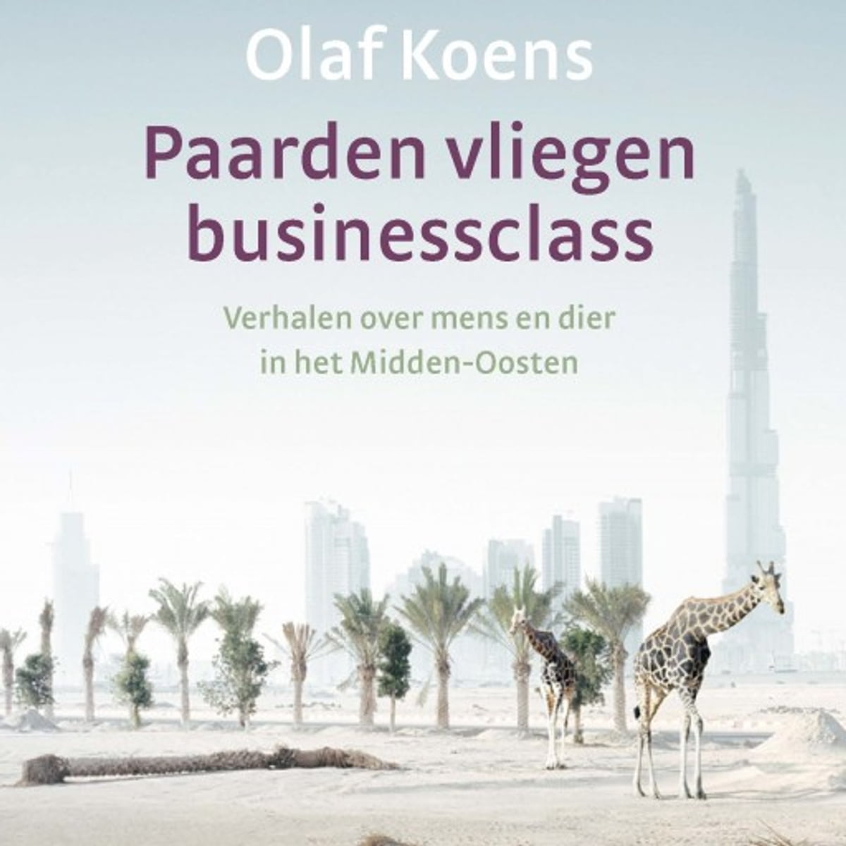 Horses Fly Business Class