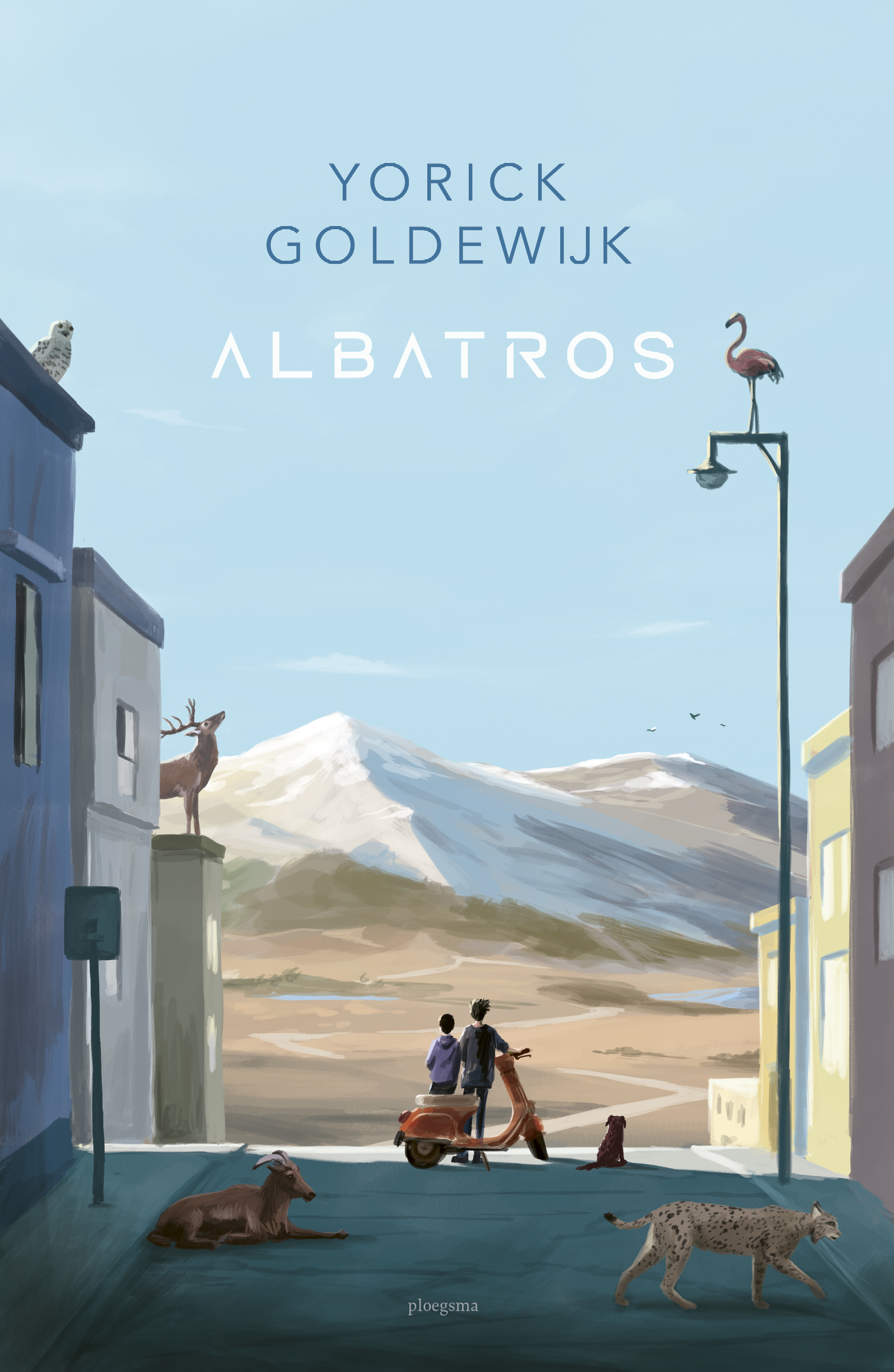 Albatross
